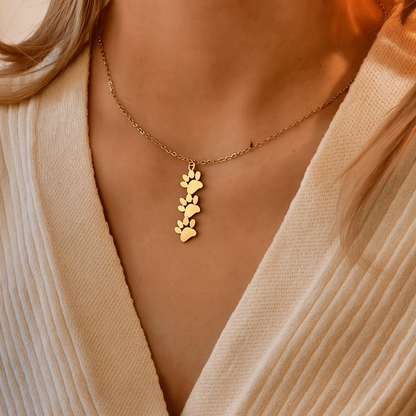 Sorolla | Collar Mascotas Queridas®