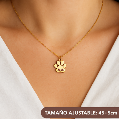 Sorolla | Collar Mascotas Queridas®